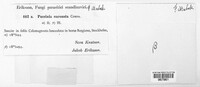 Image Associated With the Occurence